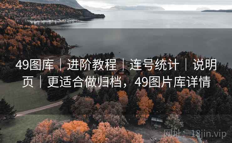 49图库｜进阶教程｜连号统计｜说明页｜更适合做归档，49图片库详情